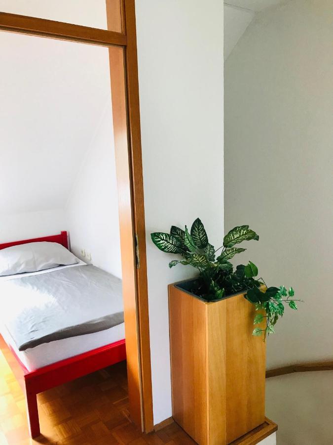 Extraordinary Apartment In Banovci Veržej Zewnętrze zdjęcie